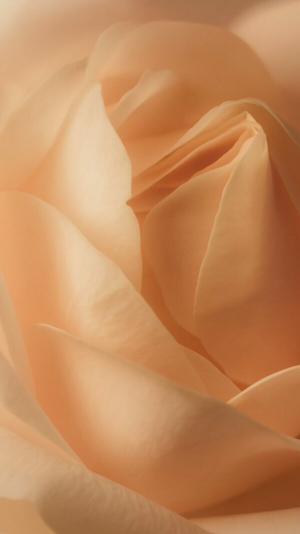 Mousse nettoyante – Image 5